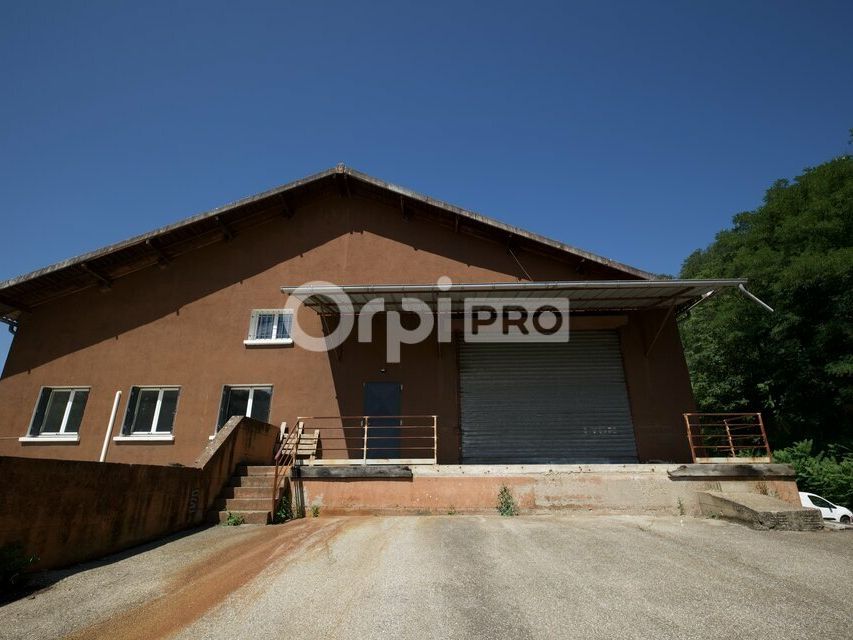 Location local d''activites 450 m² non divisibles