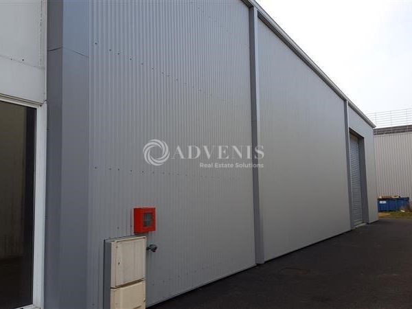 Local d'activités de 580 m²