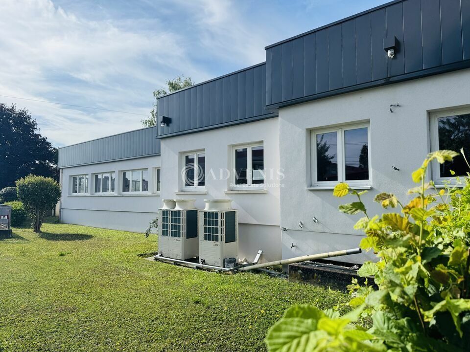 Bâtiment à usage d'activité légère à louer - Wolfisheim