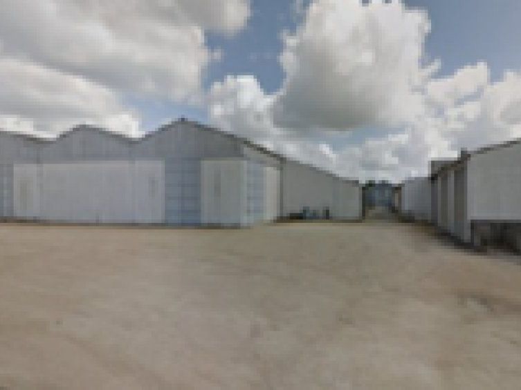 Location local d''activites 10000 m² divisibles à partir de 5000 m²