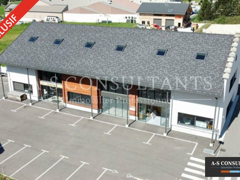 Vente local commercial 360 m² non divisibles