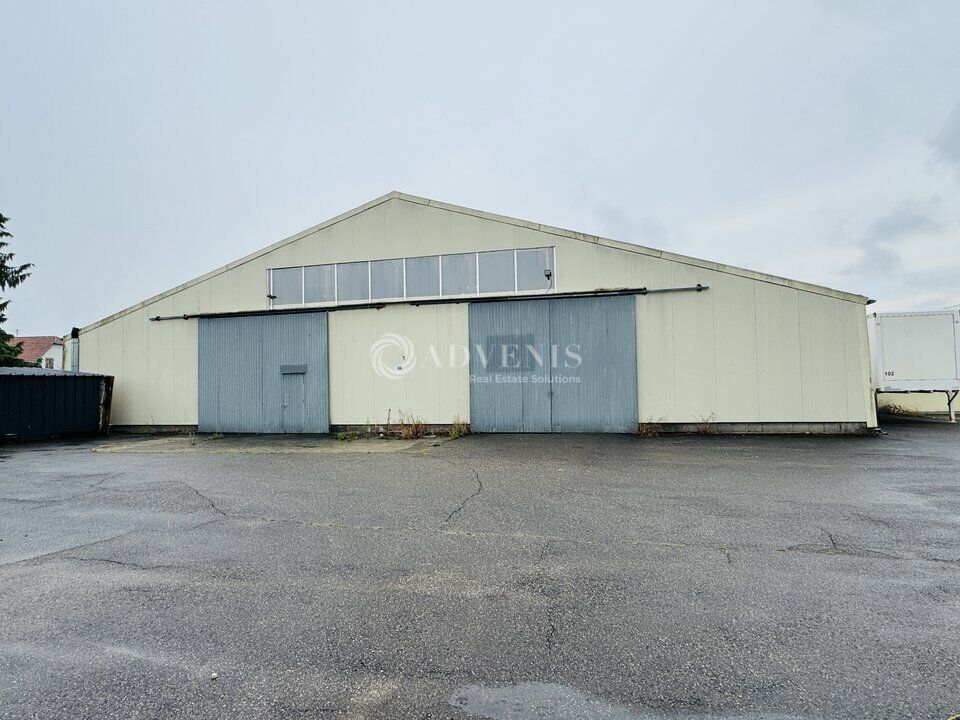 Hall d'activité et de stockage à louer - Zone Industrielle et Commerciale - Fegersheim