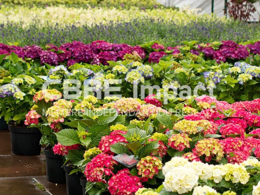 Vente local commercial 3600 m² non divisibles