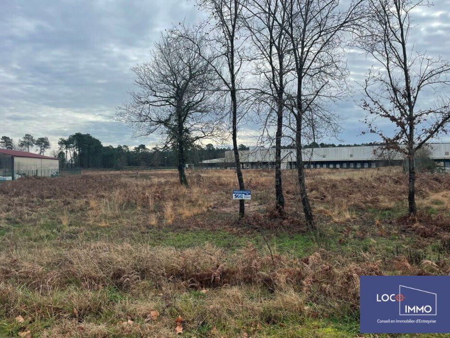 Vente terrain 8077 m² divisibles à partir de 6446 m²