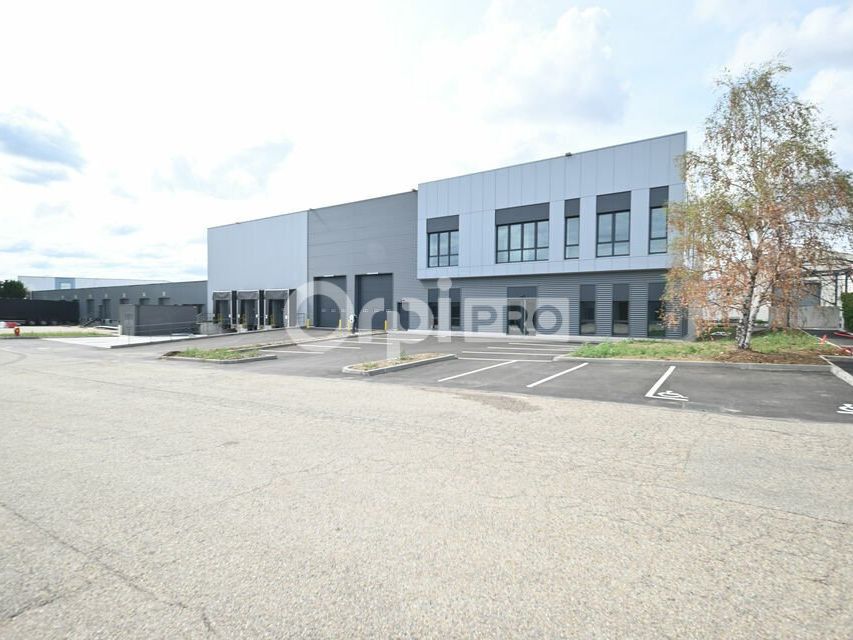 Location local d''activites 1767 m² non divisibles
