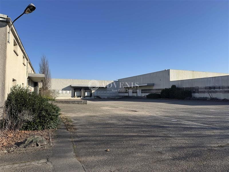 Bâtiment d'activité indépendant à louer- Zone Industrielle - Hoerdt