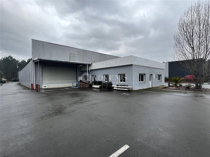 Location local d''activites 1000 m² non divisibles