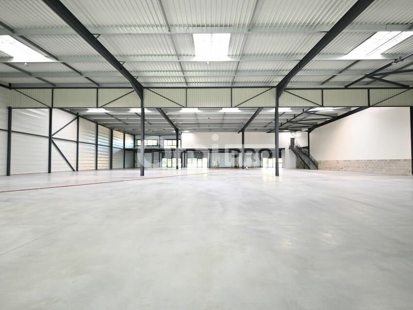 LOCAL D'ACTIVITE A LOUER - 365 m² - SAINT LAURENT DE MURE