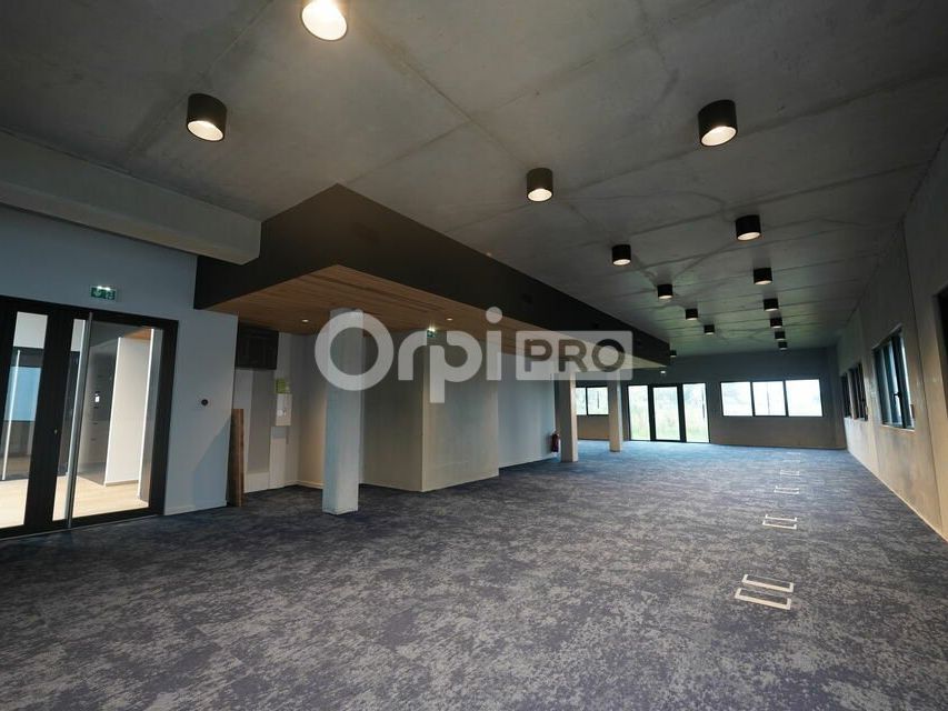 Location local d''activites 532 m² divisibles à partir de 150 m²