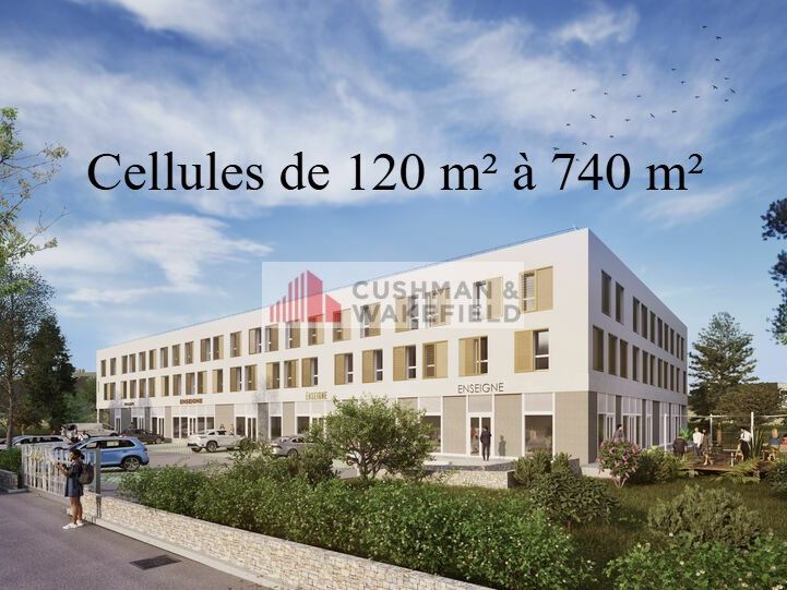 Vente bureaux 2953.76 m² divisibles à partir de 114 m²