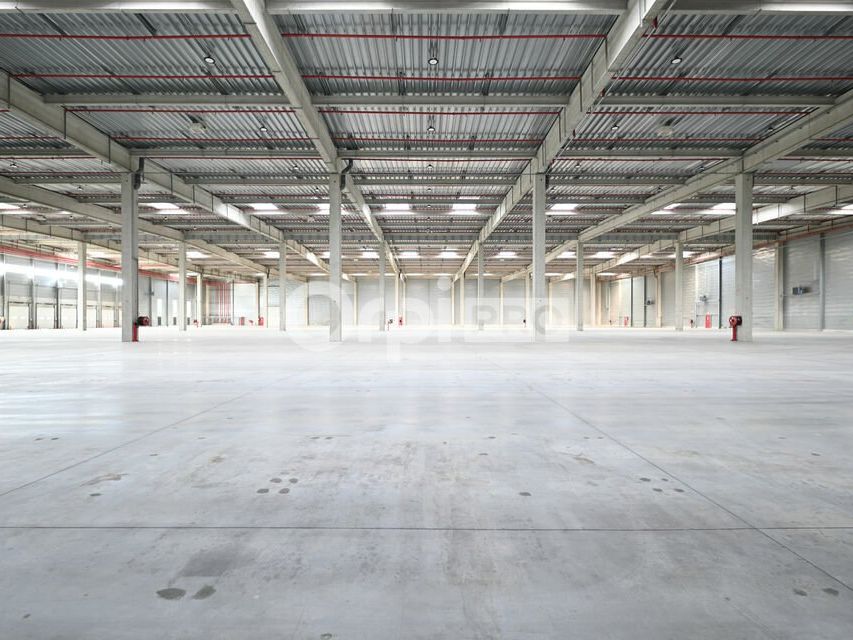 Location entrepot 22513 m² non divisibles