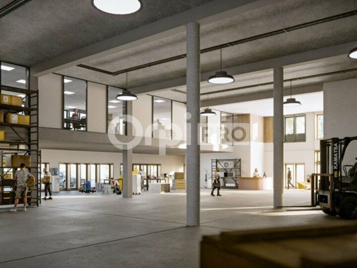 Vente local d''activites 1715 m² divisibles à partir de 796 m²