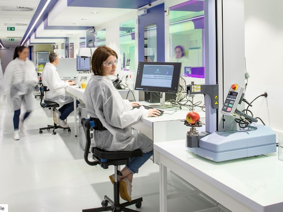 Location entrepôts 355 m² divisibles à partir de 11 m²