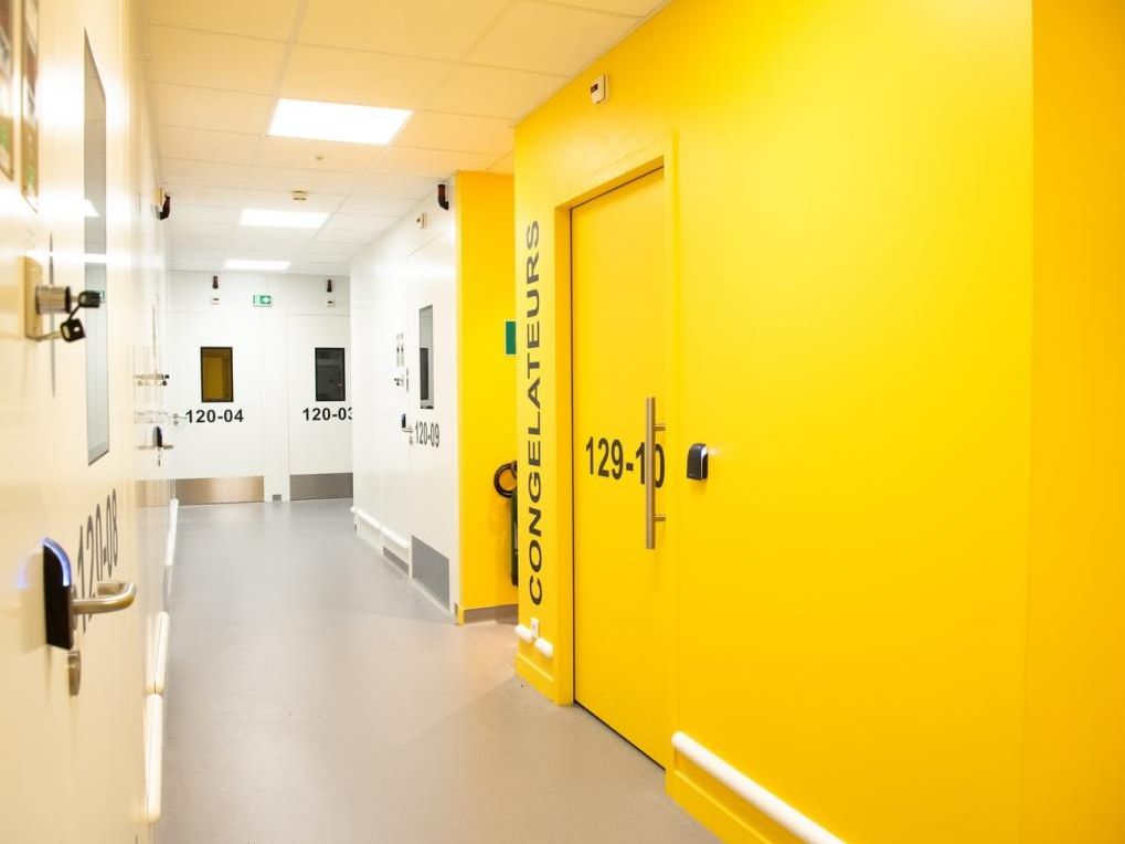 Location entrepôts 1000 m² divisibles à partir de 80 m²