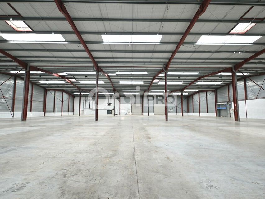 LOCAL D'ACTIVITE A LOUER - 3 603 m² - MIRIBEL