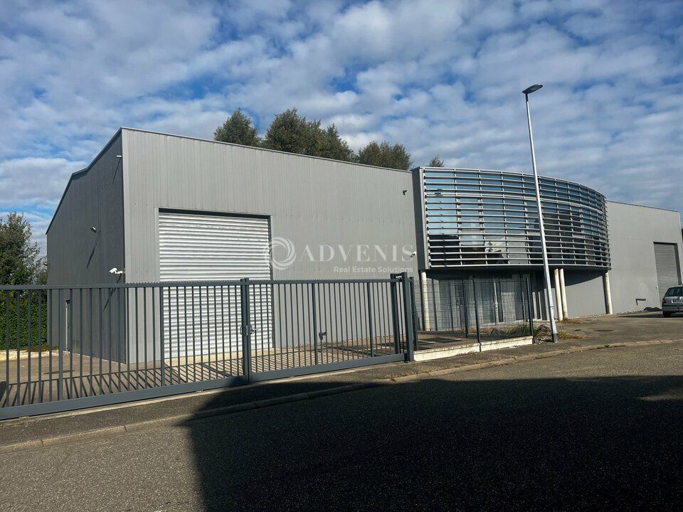 Local d'activité à vendre - ZA de la Gironde - Geispolsheim