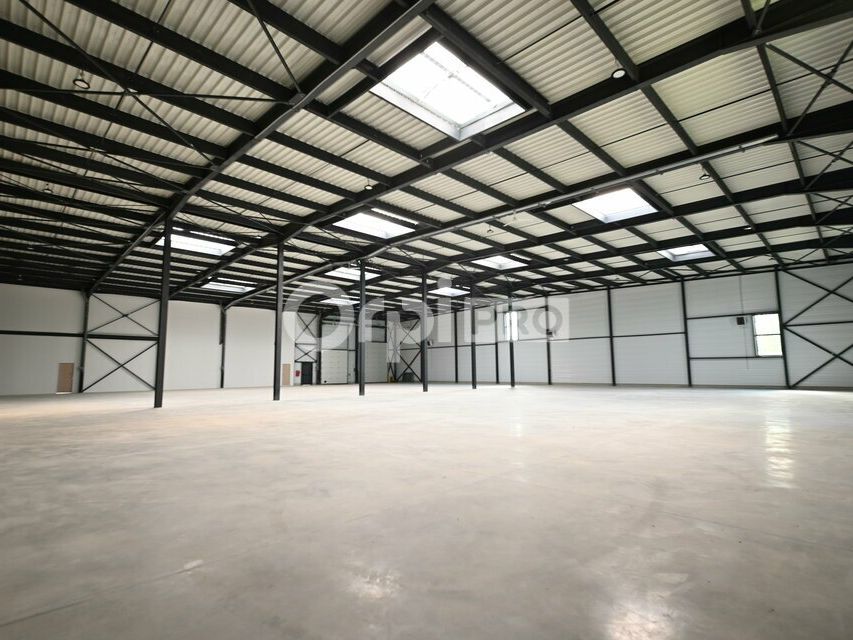 Location local d''activites 1664 m² non divisibles