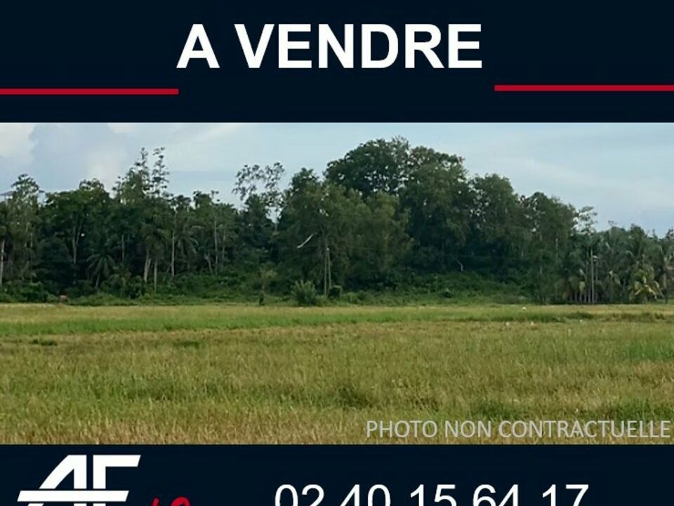 Vente terrain 2575 m² non divisibles