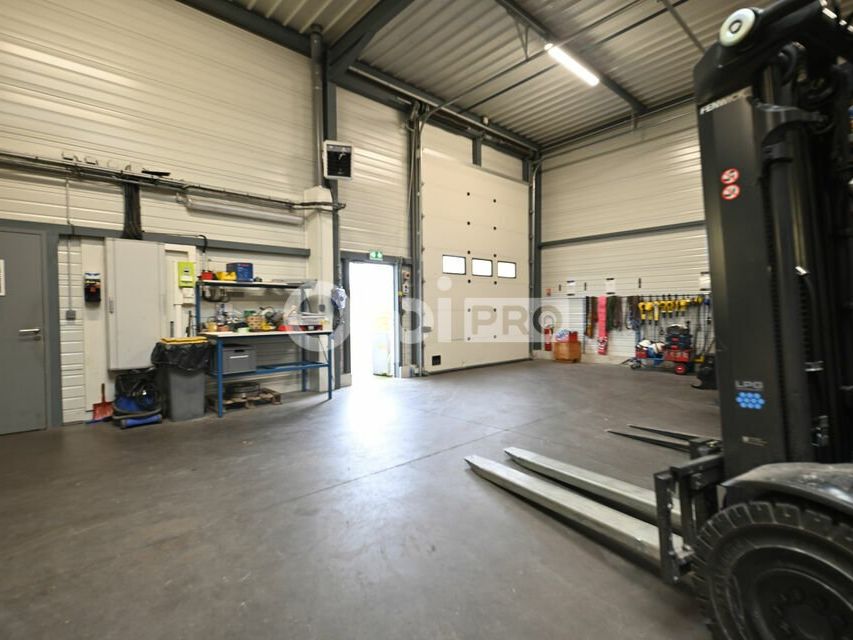 Location activité/entrepôt - 293 m²