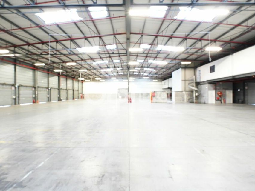 Location entrepot 4992 m² divisibles à partir de 556 m²