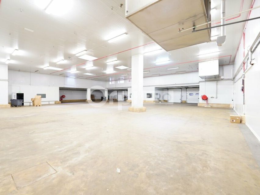 ENTREPÔT FRIGORIFIQUE BIFACE A LOUER - 2 448 m² - MIONS