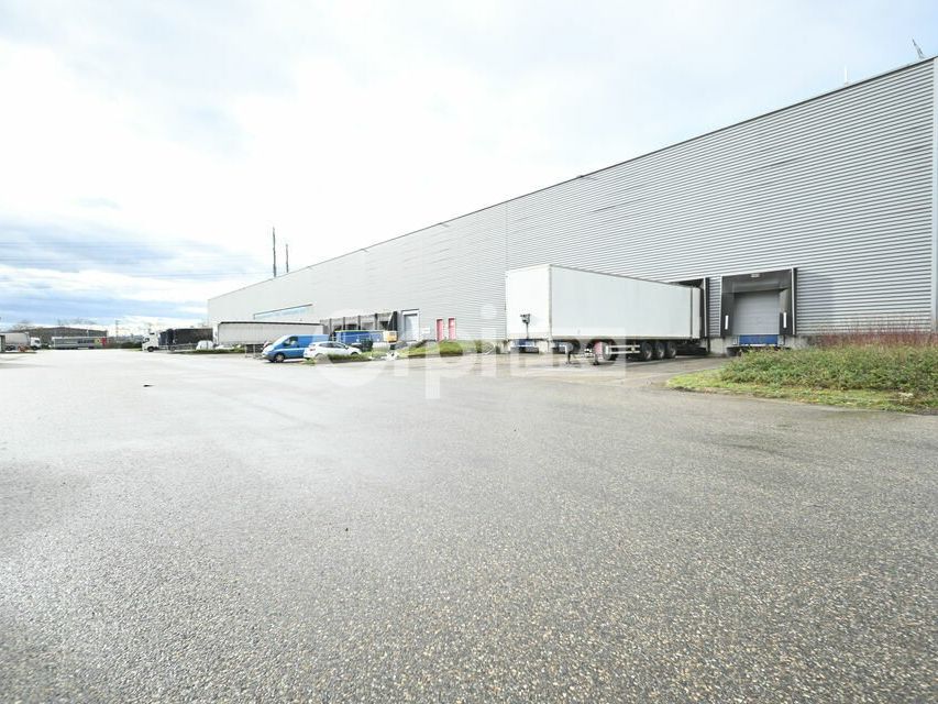 Location entrepot 7933 m² divisibles à partir de 3876 m²