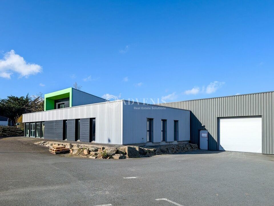 Locaux d'activités à louer - Showroom, stockage, bureaux