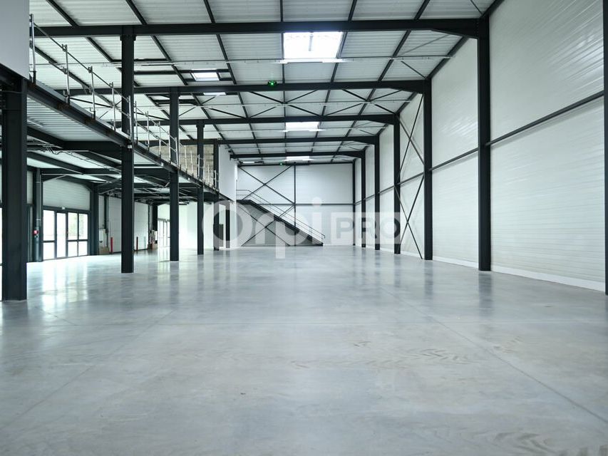 Location local d''activites 1740 m² divisibles à partir de 274 m²
