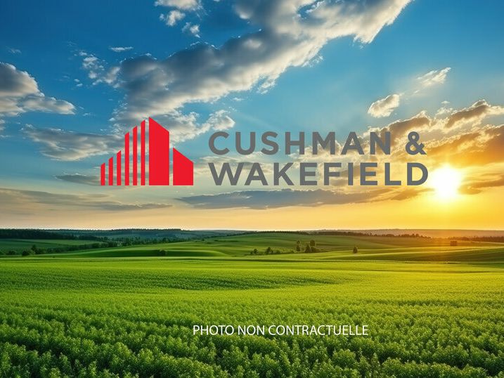 Vente terrain 8039 m² non divisibles