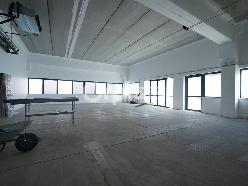 Location local d''activites 1668 m² divisibles à partir de 220 m²
