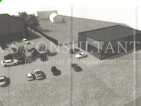 Location local commercial 1150 m² divisibles à partir de 481 m²