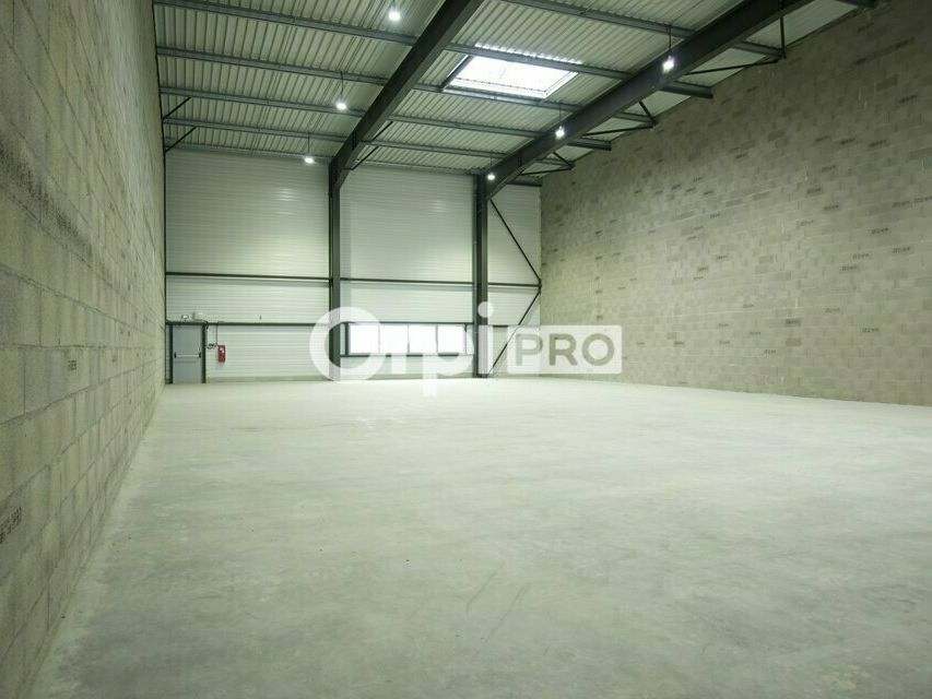 LOCAL D'ACTIVITE A LOUER - 571 m² - DAGNEUX