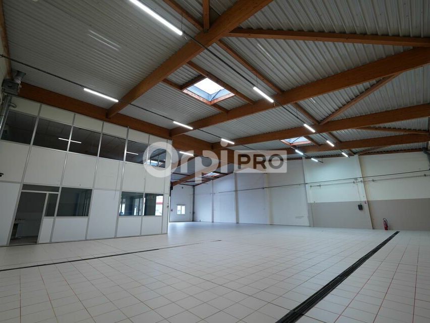 LOCAL D'ACTIVITE A LOUER - 583 m² - DECINES CHARPIEU