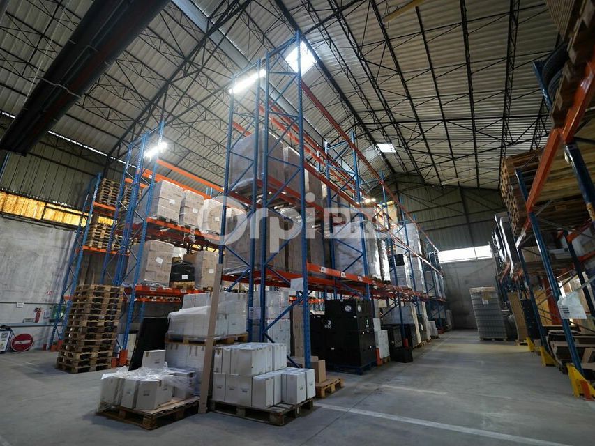 LOCAL D'ACTIVITE A LOUER - 1 217 m² - LYON 7ème