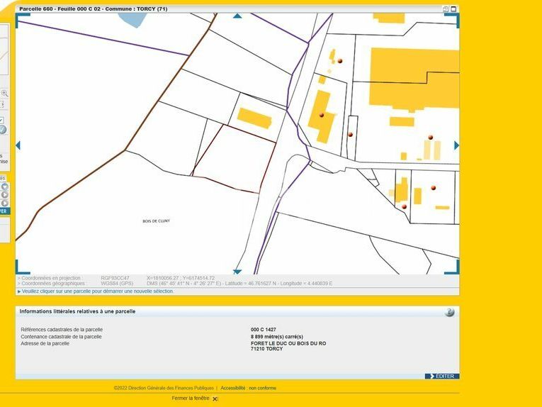 TERRAIN A VENDRE - TORCY 