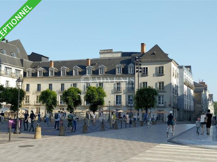 Location local commercial 182 m² divisibles à partir de 81 m²