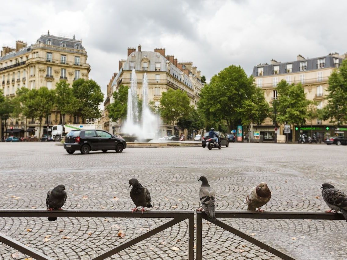 Location bureaux 40 m² à Paris 16ème