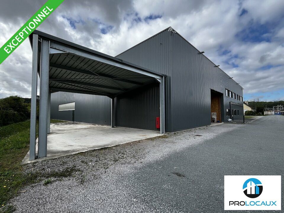 Vente local d''activites 1772 m² non divisibles