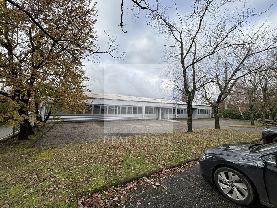 Location local d''activites 1320 m² divisibles à partir de 510 m²