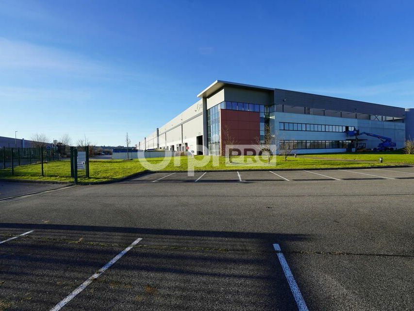 ENTREPOT A LOUER - 24 526 m² - SAINT QUENTIN FALLAVIER