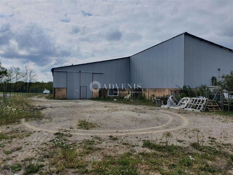 A LOUER OU A VENDRE LOCAL D'ACTIVITES DE 373M²