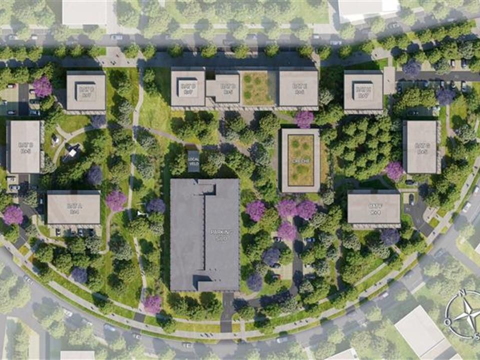 14.04 PLAN DE MASSE BOSCAIA