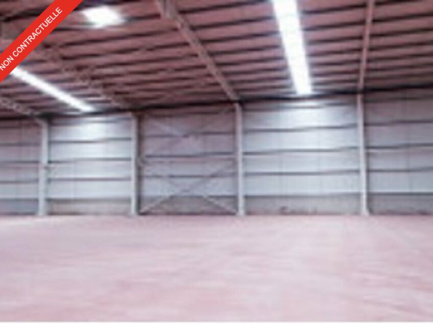 Location local d''activites 290 m² divisibles à partir de 100 m²