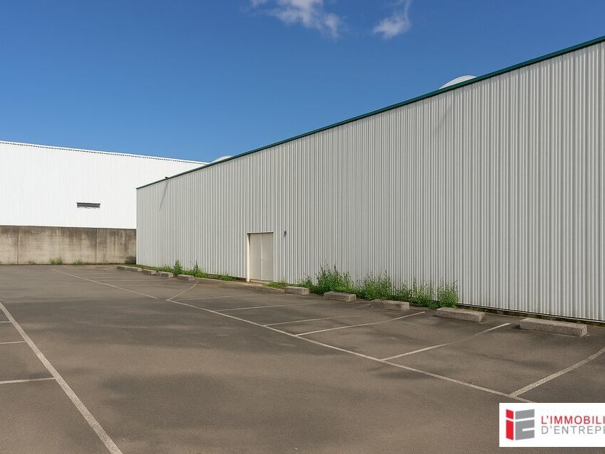 Location local d''activites 600 m² non divisibles