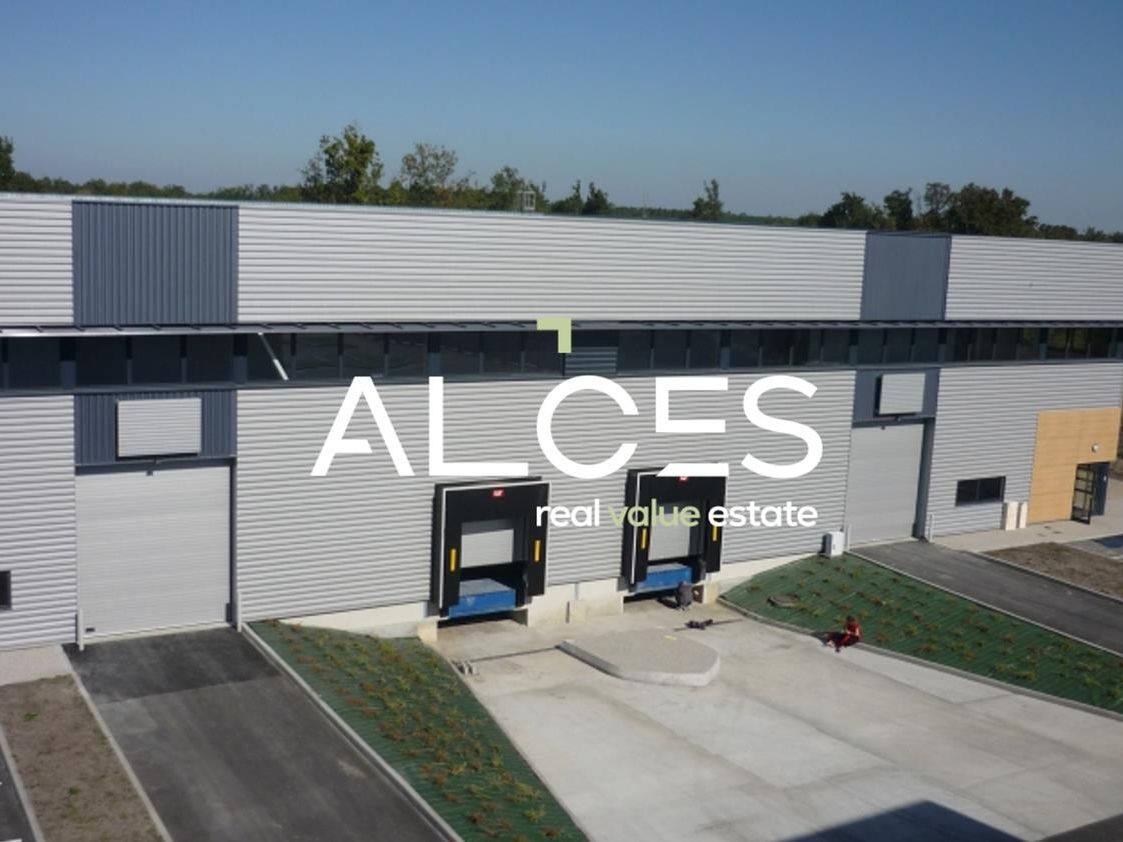 Capture d’écran 2026-01-12 à 12.54.35