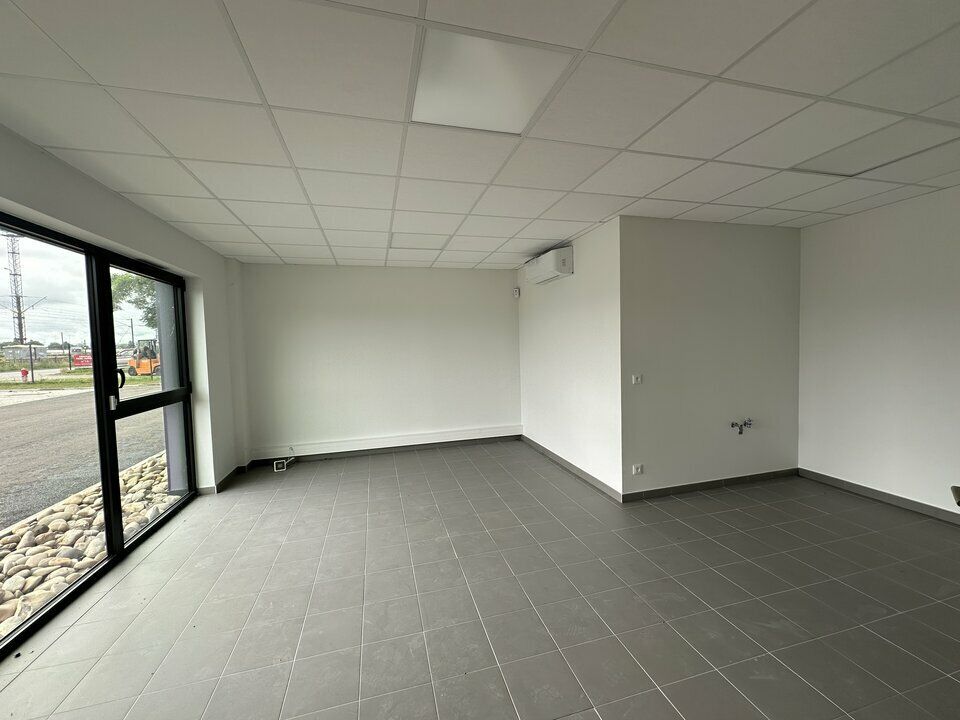 781 m² pour ce local d'activites en location à Souffelweyersheim