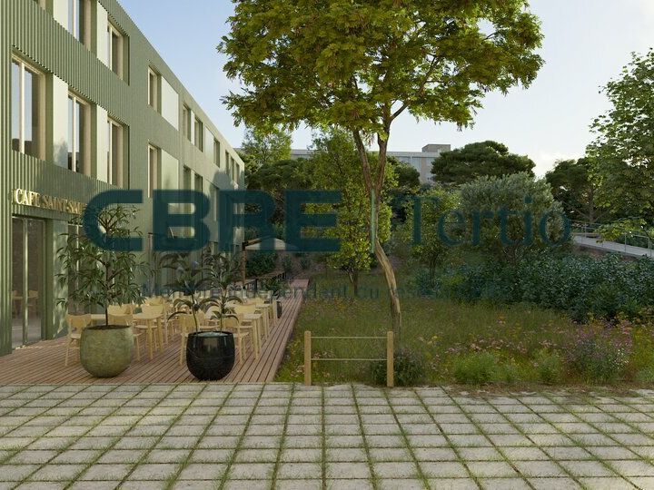 Co- EXCLUSIVITE - Bureaux neufs à louer