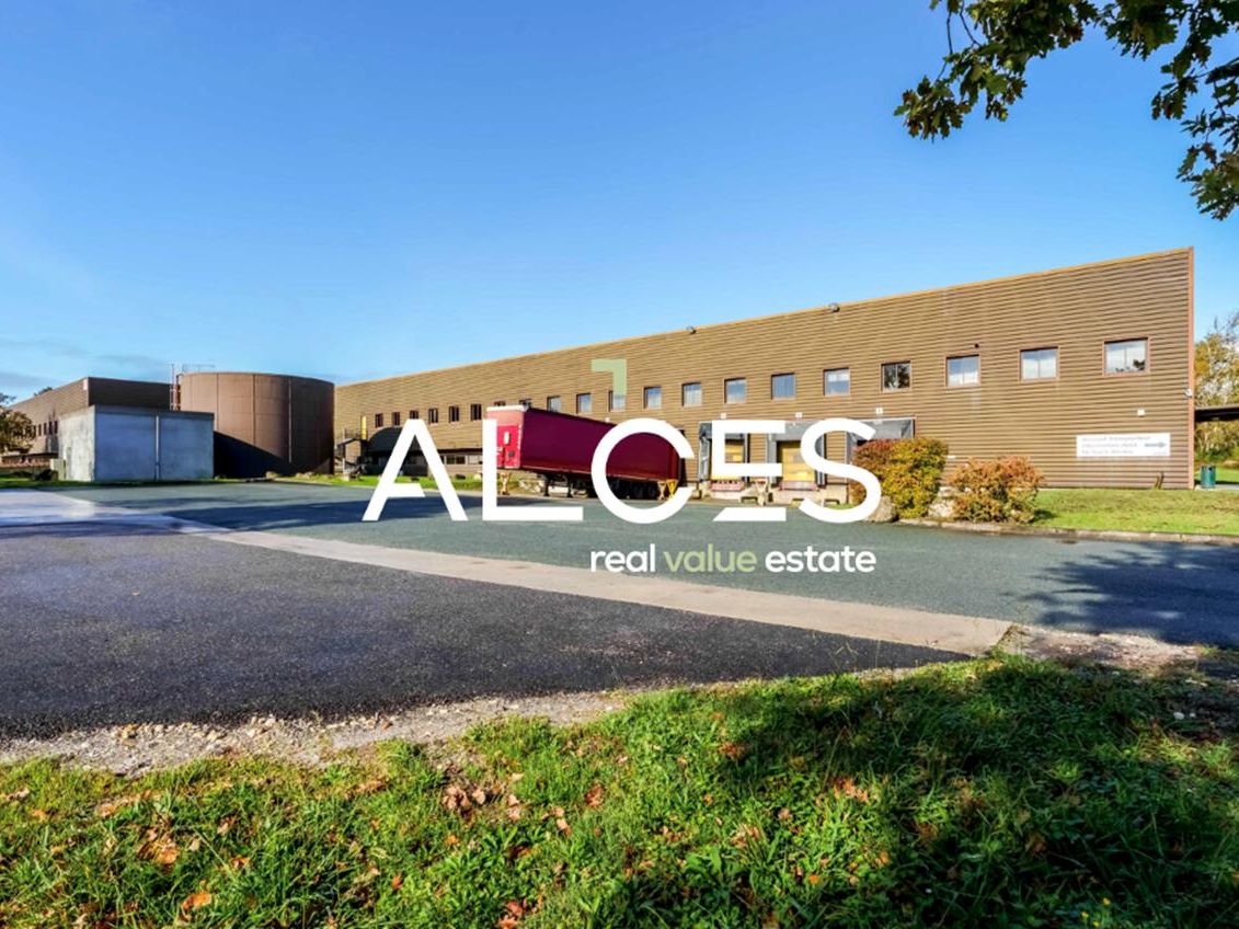 Capture d’écran 2026-01-26 à 11.35.16