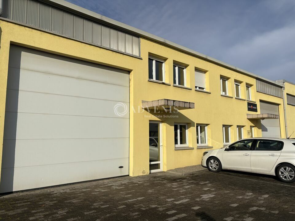 Locaux d'activité à louer - Zone industrielle - Hoerdt