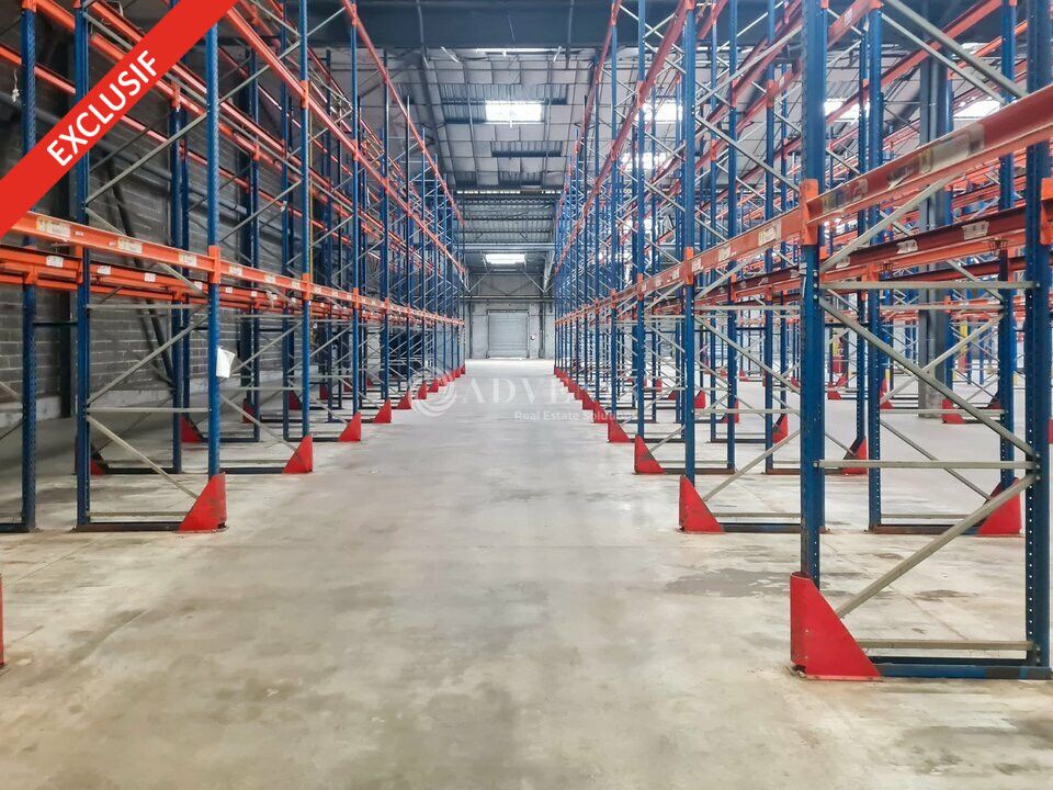 Location entrepot 10000 m² non divisibles